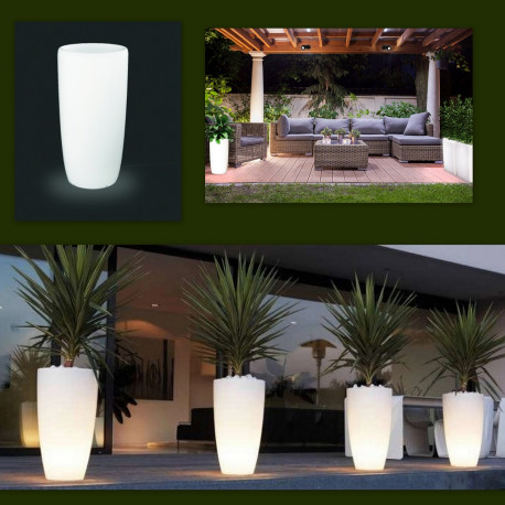 FLOWER POT
