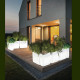 FLOWER POT