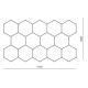 HEXAGON